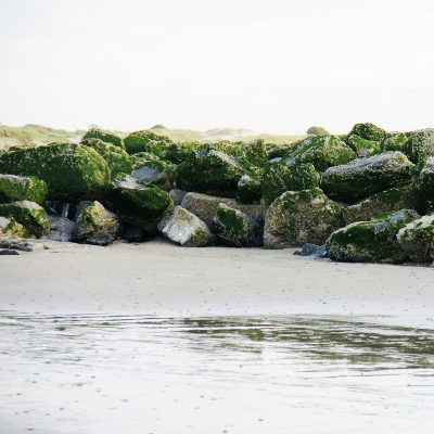 Rocks on the beach, par Xavier E. G. Dierick